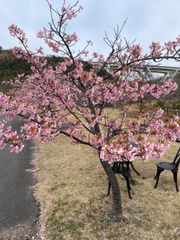 ゴミ箱 屋外 ゴミステション 大きい 組立式 横幅90cm ゴミ箱鋼 280L