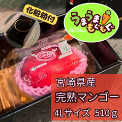 【数量限定品】宮崎県産　完熟マンゴー　4L　510g以上（1玉） みやざきマンゴー　マンゴー　宮崎マンゴー