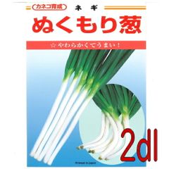 カネコ種苗　ぬくもり葱　２ｄｌ