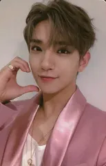 【中古】コレクションカード(男性) SEVENTEEN/JOSHUA(ジョシュア)/衣装ピンク・右手指曲げ・裏面白/CD「3RD Album ： An Ode(Truth ver.)封入特典フォトカード