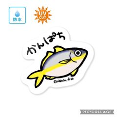 105 カンパチ【防水&UVカット】釣り好きステッカー☆