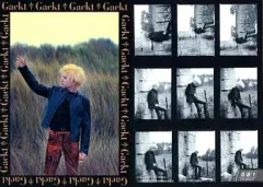 【中古】コレクションカード(男性) 081 ： Gackt/Gackt in South France-9/Gackt TRADING CARDS