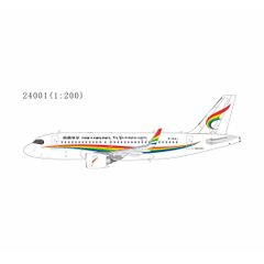 1/400 A319チベット航空EnchantingNyingchiB-1008 1/400 A319チベット航空EnchantingNyingchiB-1008 - メルカリ
