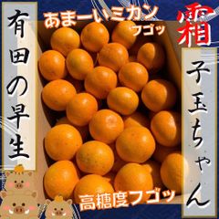 コンパクト便発送　早生みかん　お試し♪