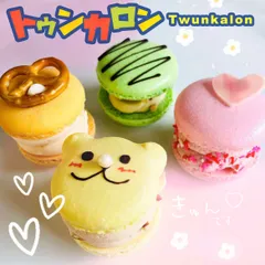 【フォロワー様限定】SNSでも大人気❣️トゥンカロン4個セット