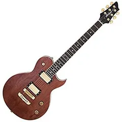 激レア美品！ARIA Pro Ⅱ PE-1000TR ハードケース付き s-l1200.jpg