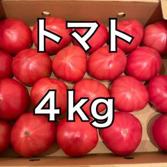 無農薬　桃太郎トマト　B品　4kg