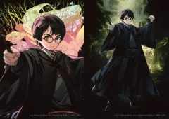 【中古】キャラカード ハリー・ポッター 「ハリー・ポッター ブロマイドコレクション(2枚組)」