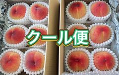 温室もも　日川白鳳　桃　ピーチ