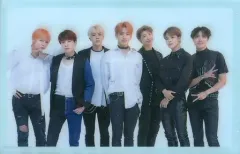 【中古】サプライ [単品] BTS(防弾少年団) カードスリーブ 「CD FAKE LOVE/Airplane pt.2」 BTS JAPAN OFFICIAL FANCLUB 5形態セット購入特典　同梱品