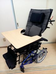 パンダ PANDA 座位保持椅子 2.5サイズ ハイローチェア 昇降式 - メルカリ