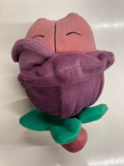 BANDAI SPIRITS 포켓몬 포커스 <스가타가 바뀌는 포켓몬> 봉제인형 첼림(네가·포지) 미미큐(바케타·바레타) 첼림(네가포름)