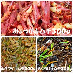 キムチ３点　山クラゲキムチ300ｇ　きくらげキムチ300ｇ　みょうがキムチ300ｇ
