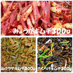 キムチ３点　山クラゲキムチ300ｇ　きくらげキムチ300ｇ　みょうがキムチ300ｇのサムネイル