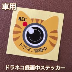 ドラネコ録画中 茶トラ ステッカー 車にオススメサイズ