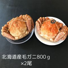 北海道産 チルド毛ガニ（1.6kg）（約800g×2尾） BIGサイズ  未冷凍　海明けガニ