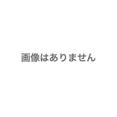 ぺんてる グラフギア1000 0.5mm 限定レッドブラック