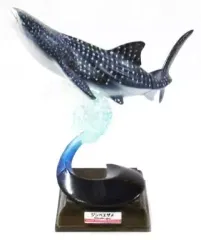 2025年最新】ネイチャーテクニカラー ジンベエザメの人気アイテム