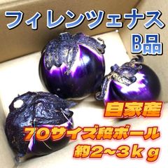 A-STYLE　自家産 白ナス フィレンツェナス A品B品MIX70サイズショップアカウントではゆうゆうメルカリ便で送れないため沖縄への発送は出来かねます、個人アカウントよりご購入頂けましたら発送可能ですので出品致しましたらそちらよりよろしくお願いいたします