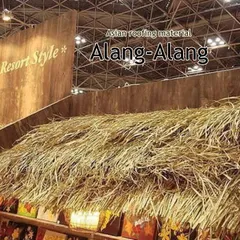 【法人様専用】アジアン リゾート アランアラン 屋根材＜１m幅ｘ5枚セット＞ バリ島 アジアン ガゼボ 内装材 わら 藁 茅葺き Alang-Alang oth-0049B 業務用 店舗用 ディスプレイ 祭礼 アジアンカフェ 飲食店
