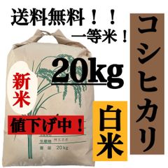白米　20kg コシヒカリ　新米　埼玉県産　令和4年産　送料無料　米　20キロ