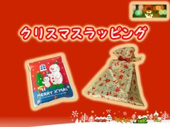 プレゼント ギフト用　ラッピング　有料オプション　おまかせクリスマスラッピング