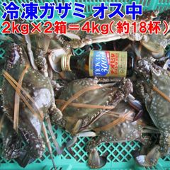 ムール貝送料無料！釣り餌に☆「ムラサキイガイ７ｋｇ」☆冷凍発送