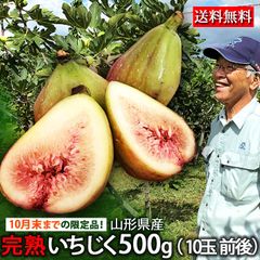 新潟県産✴︎朝採りいちじく ✴︎ - メルカリ