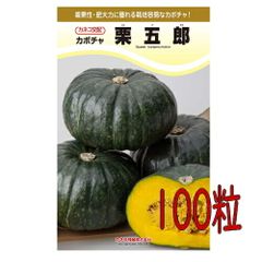 カネコ種苗　栗五郎　南瓜　１００粒