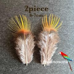 ◾️⭐︎【SS10】2枚セット 羽根 フェザー 鳥 パーツ 材料 アクセサリー 素材