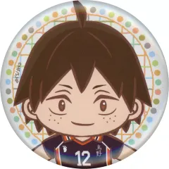 【中古】バッジ・ビンズ 山口忠 缶バッジ 「セガ ラッキーくじ ハイキュー!! Pastel Art Collection」 E賞