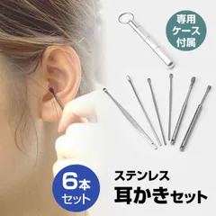 耳かき 6本 セット ケース付属 キーリング付き 耳掃除 コンパクト ステンレス 携帯 耳かきセット 耳掃除セット PR-HORIEAR