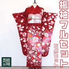 振袖フルセット 6点セット  　赤地　桜　藤の花　キュート　かわいい　【振袖・袋帯・帯締め・帯揚げ・重衿・長襦袢】 _ 成人式 はたちのつどい 二十歳 晴れ着 振り袖 高級 前撮り bh008