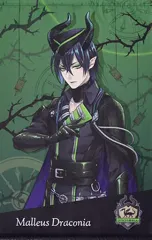 【中古】タペストリー(大型) マレウス・ドラコニア プレミアムビッグタペストリー～ディアソムニア寮～ 「ディズニー ツイステッドワンダーランド」