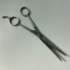 Item thumbnail for item bab19997-50a4-4375-a071-897218ff6284