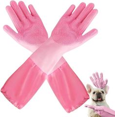 Item thumbnail for item 5ccf09ce-7741-4d21-bc08-b263ef557c05