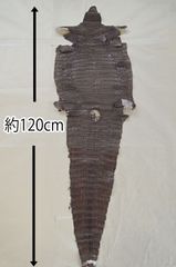 カケ様専用　クロコダイル　カーフ3枚