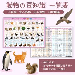 専用】発送一覧表セット - メルカリ