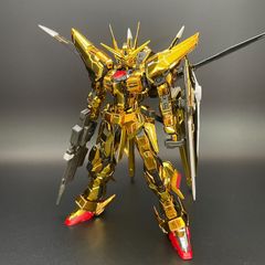 ガンプラ【中古品】 RG 1/144 アカツキガンダム(オオワシ装備) バンダイ プレバン 632