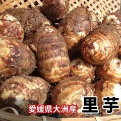 【愛媛県大洲産】ねっとり里芋　2ｋ（送料込み）