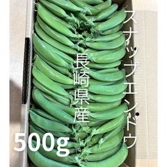 プロ農家がつくる　長崎県産スナップエンドウ　スジナインスナップ　500g