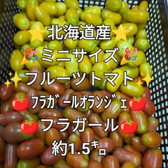 ミニサイズ✨️フラガールBOXぅ✨️北海道産