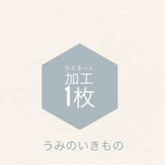 スーパーセール chon ama プロフィール必読です！ - メルカリShops コスプレ衣装