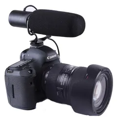 送料無料 ギフト Nikon 本体、レンズと双指向性マイク デジタル一眼レフカメラ デジタルカメラ