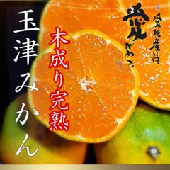 愛媛産　玉津みかん　木成り完熟　家庭用10kg
