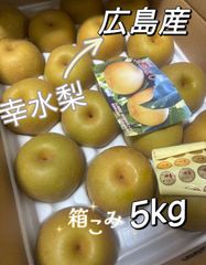 10セット限定特売❣️冷凍でも美味しい❣️無添加・砂糖未使用