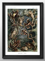 2025年最新】マックス・エルンストの人気アイテム - メルカリ