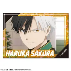 【新品・公式】WIND BREAKER ホログラム缶バッジ デザイン04(桜遥/D) 公式グッズ colleize