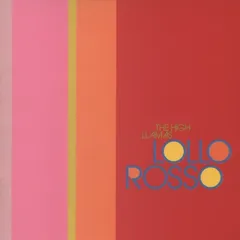 ◾️希少高音質12インチ盤◾️THE HIGH LLAMAS / ザ・ハイラマズ◾️C 2025年最新】ハイラマズの人気アイテム - メルカリ