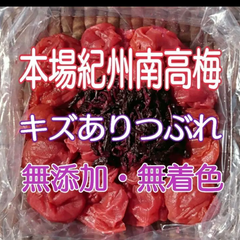 【容器無し】ネコポス発送♪ キズありつぶれ☆完熟しそ梅300g  (塩分18％)